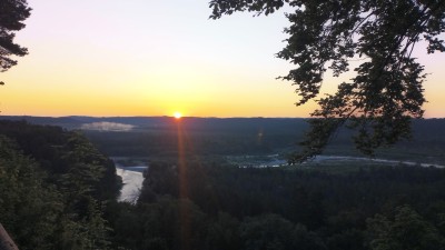 IMG_20250621_052219249~2.jpg