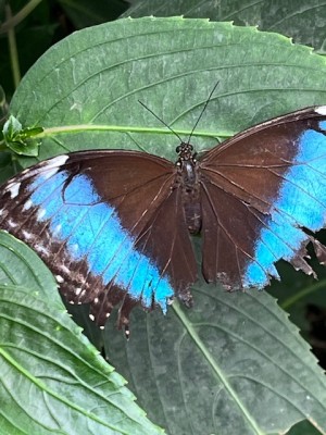IMG_7063.jpeg